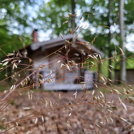 Bjaernhultsgardens Stugor Linderod المظهر الخارجي الصورة